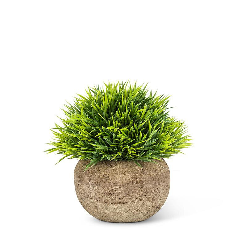 Small Grassy Plant Stone Pot Product Image