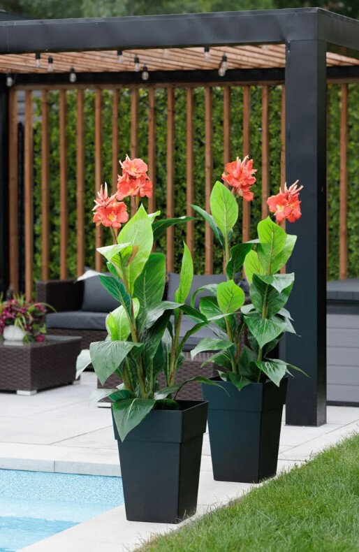 Red Canna Planter