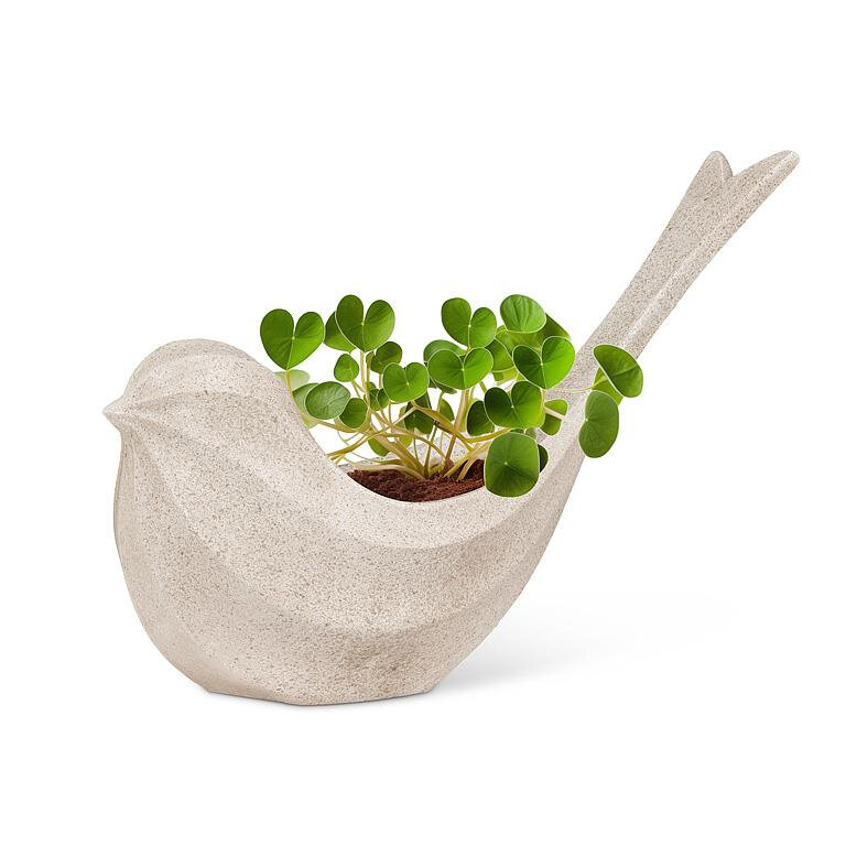 Longtail Bird Planter Product Image